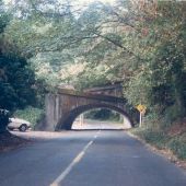 Lake Washington Blvd