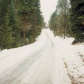 Okanogan National Forest