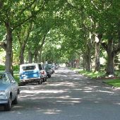 Longview - Neighborhoods