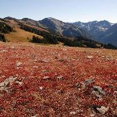 Olympic Peninsula - more General Photos