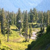 Mount Baker Ski Area