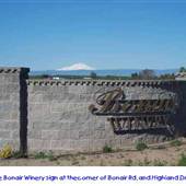 Bonair Winery and Vinyards