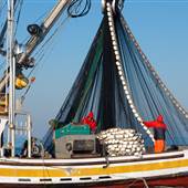 Fishing Boats