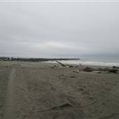 Ocean Shores - Beach