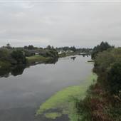 Ocean Shores -  Canals