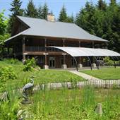 Dragonfly Retreat/Forest Oasis