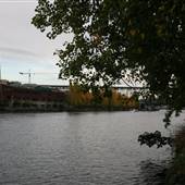 Washington Ship Canal
