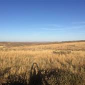 Ferrians-Adams Property