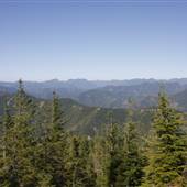 Forests - Green Diamond Resource Co.