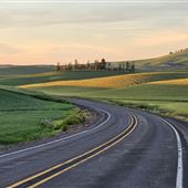 Roadscapes in Whitman County, WA