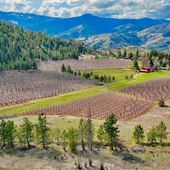 Hoverpark Ranch with Airstrip, Orchard, Pond and Barn