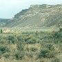 Coulee Area - GEO
