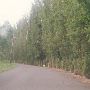 West Snoqualmie River Road NE