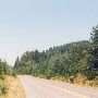 Fall City Road