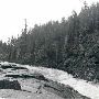 Toutle River