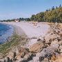 Golden Gardens Park