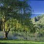 North Central Lakes