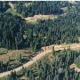 Hurricane Ridge