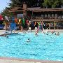 Wedgewood Pool
