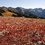 Olympic Peninsula - more General Photos