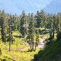 Mount Baker Ski Area