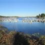 Vashon Island
