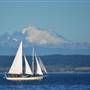 Suva Schooner