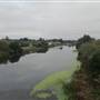 Ocean Shores -  Canals