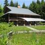 Dragonfly Retreat/Forest Oasis