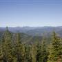 Forests - Green Diamond Resource Co.