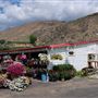 Estes Fruit Stand