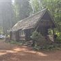 Log Cabin in Trout Lake