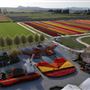 Tulip Fields