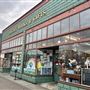 Odyssey Books & Gifts