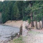 Bull Frog Road River