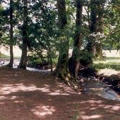 Farrell McWirter Park - GEO