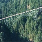 Skokomish River Bridge