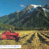 Darrington Hay Field