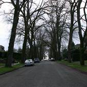 36th Ave E & E Prospect St