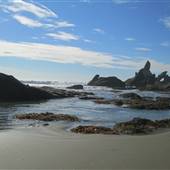 Shi Shi Beach National Park