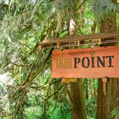 TreeHouse Point