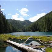 Lakes, Rivers, Wetlands - Green Diamond Resource Company