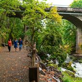 Brewery Park at Tumwater Falls