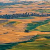 Steptoe Butte State Park