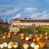 Rutledge Family Farm