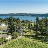 Island home with vines and views