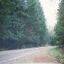 Belfair Highway