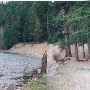 Bull Frog Road River