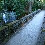 Whatcom Falls