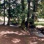 Farrell McWirter Park - GEO